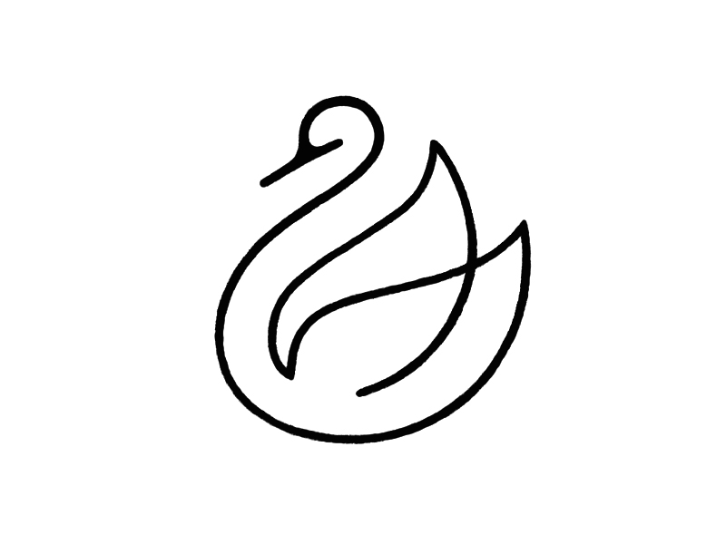 800x600 Swan Sketch By Kakha Kakhadzen - Swan Sketch