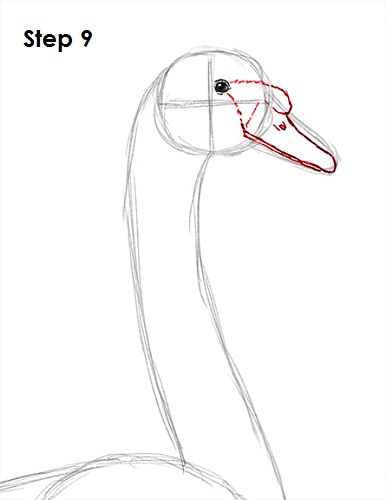 386x500 How To Draw A Swan - Swan Sketch Images