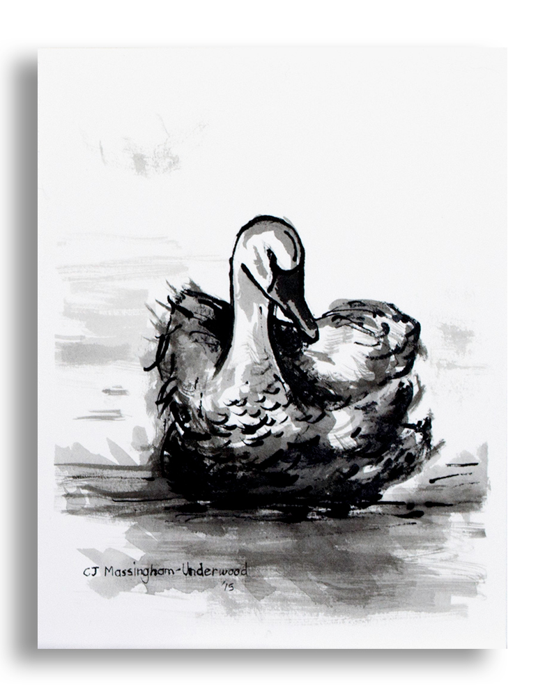 782x1000 Swan Sketch By Cathlyn Massingham Underwood - Swan Sketch Images