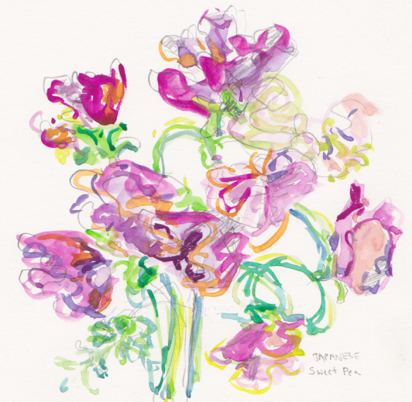 584x570 Sketching On The Spot Sweet Peas Moveable Paintbox - Sweet Pea Sketch