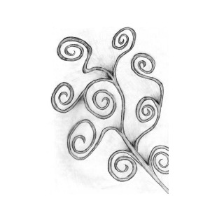 300x300 Swirl Fern Drawing By Tessa Hunt Woodland - Swirl Sketch