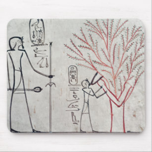 307x307 Sycamore Tree Gifts On Zazzle - Sycamore Tree Sketch