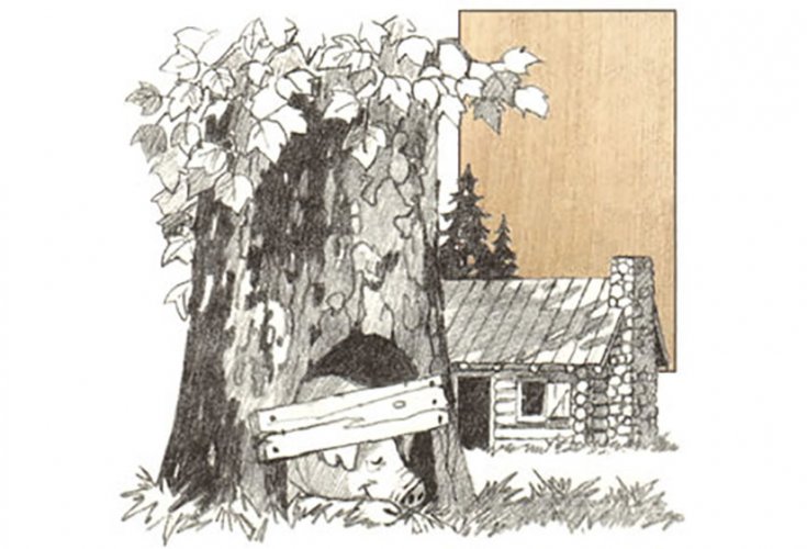 735x500 Sycamore - Sycamore Tree Sketch