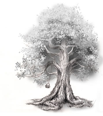 356x400 The Gucci Fashion Celebrity Black And White Paintings Trees - Sycamore Tree Sketch