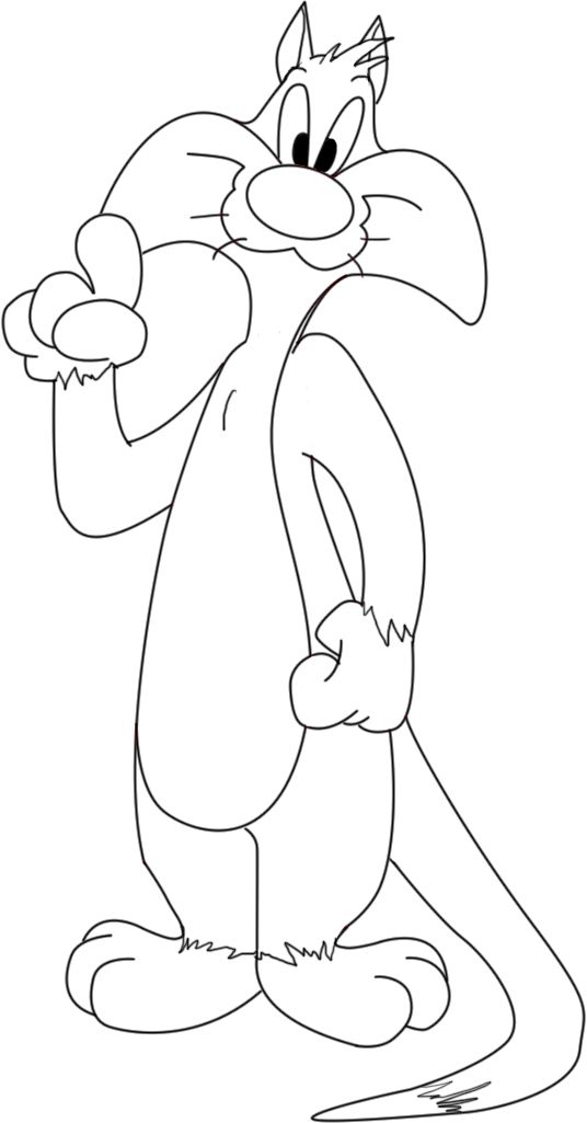536x1025 How To Draw Sylvester The Cat Draw Central - Sylvester Sketch