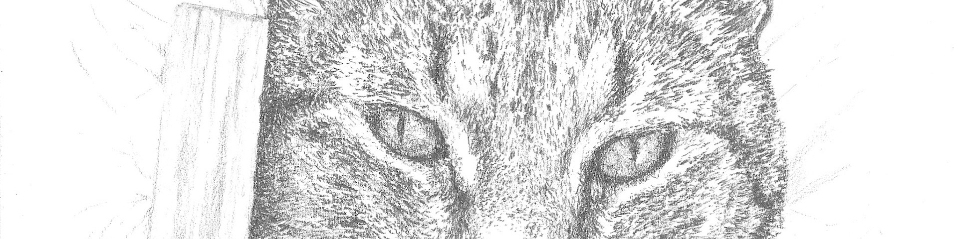 1920x480 Sylvester (Sketch) Pens! Paper! Pencils! - Sylvester Sketch