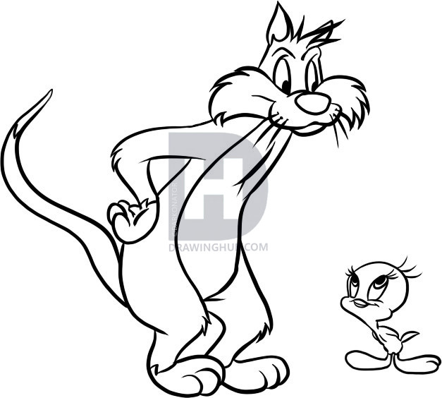 627x564 How To Draw Sylvester And Tweety, Step By Step, Drawing Guide, By - Sylvester Sketch