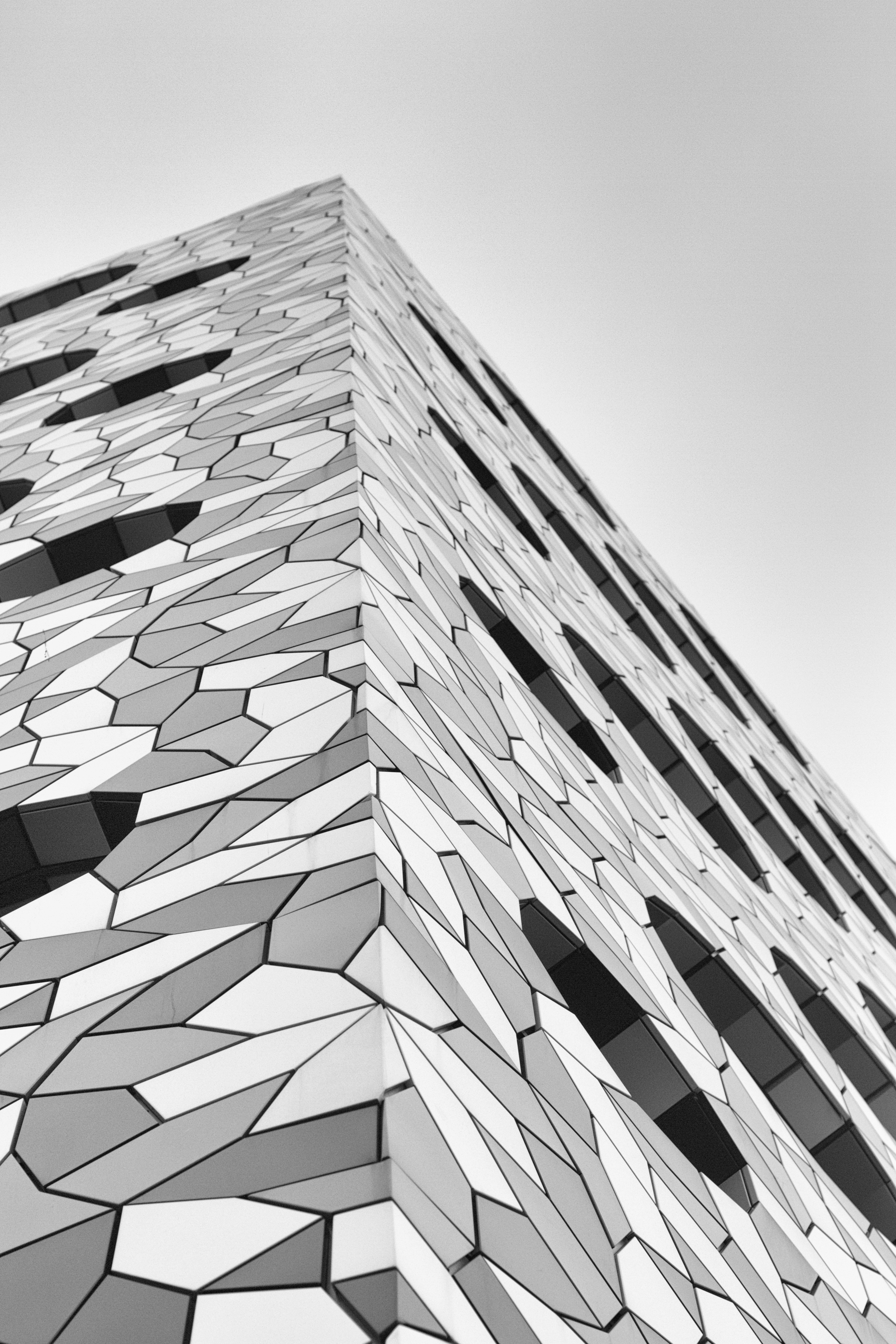 3456x5184 Free Images Wing, Black And White, Architecture, Wood - Symmetry Sketch