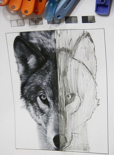 370x500 Symmetry Sketches - Symmetry Sketch