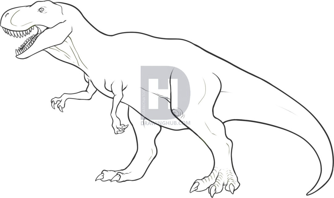 1080x642 How To Draw A Tyrannosaurus Rex, Step By Step, Drawing Guide, By - T Rex Dinosaur Sketch