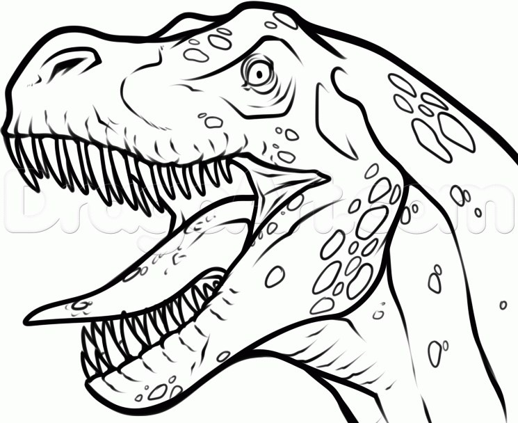 745x608 How To Draw A T Rex Head, Step By Step, Dinosaurs, Animals, Free - T Rex Dinosaur Sketch