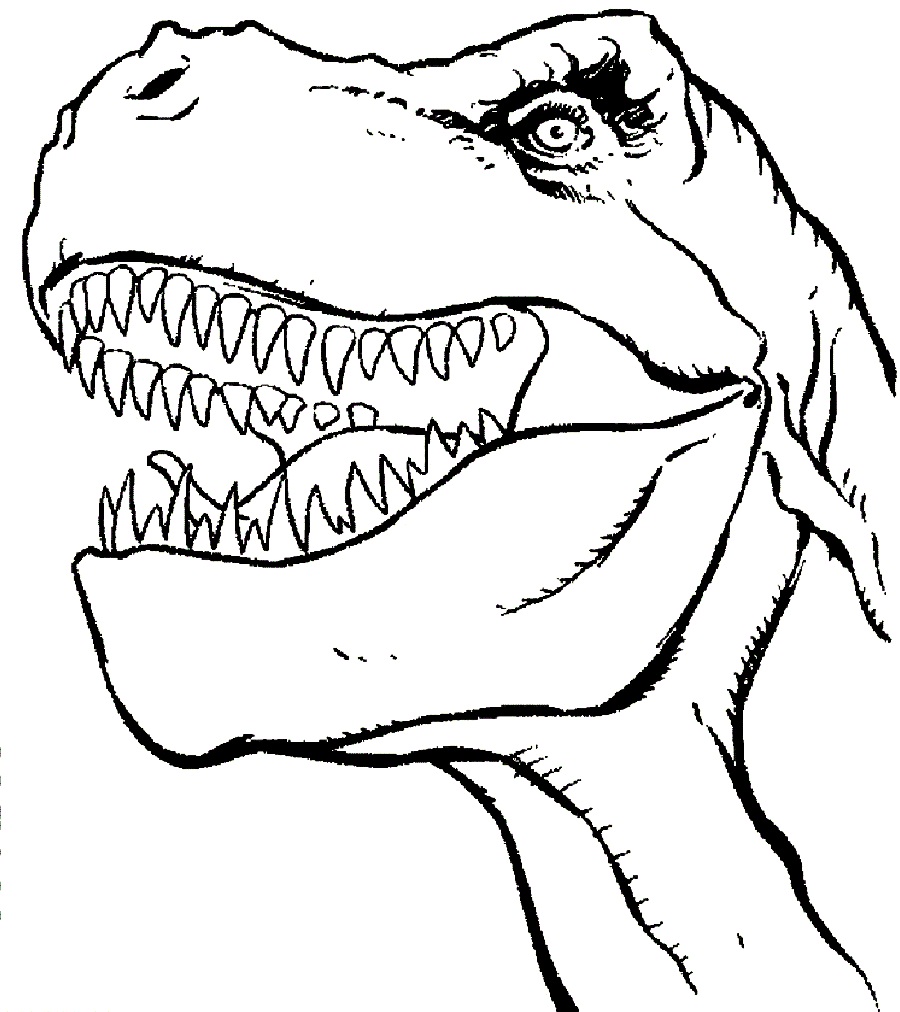 900x1012 T Rex Coloring Pictures 2739553 - T Rex Dinosaur Sketch