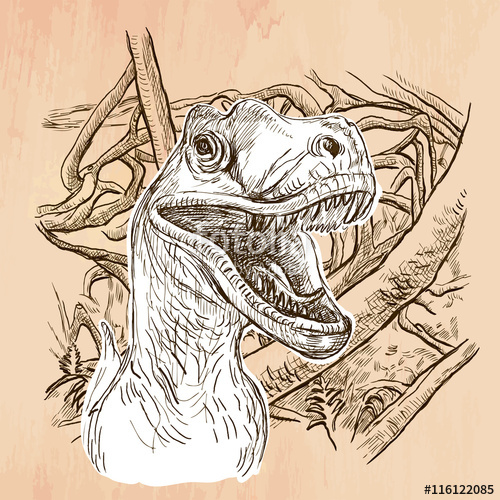 500x500 Dino, T Rex. Dinosaurs - T Rex Dinosaur Sketch