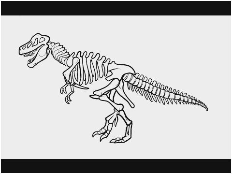 480x360 Drawing Dinosaurs Anatomy And Sketching Admirably How To Draw - T Rex Dinosaur Sketch