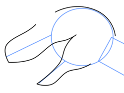 250x187 How To Draw Tyrannosaurus Rex Dinosaur - T Rex Head Sketch