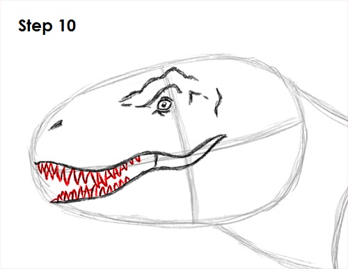 500x386 How To Draw A Tyrannosaurus Rex (T. Rex) - T Rex Head Sketch