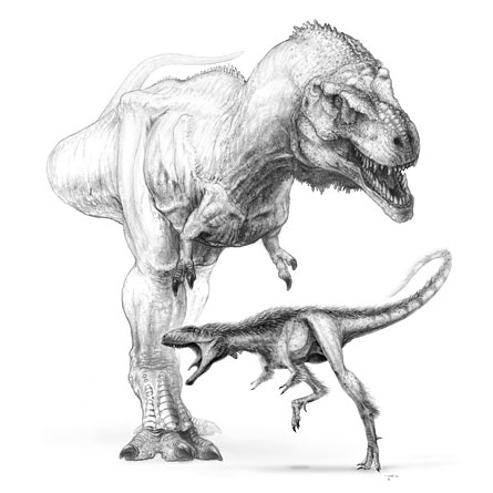 445x445 Mini T. Rex Science News For Students - T Rex Head Sketch