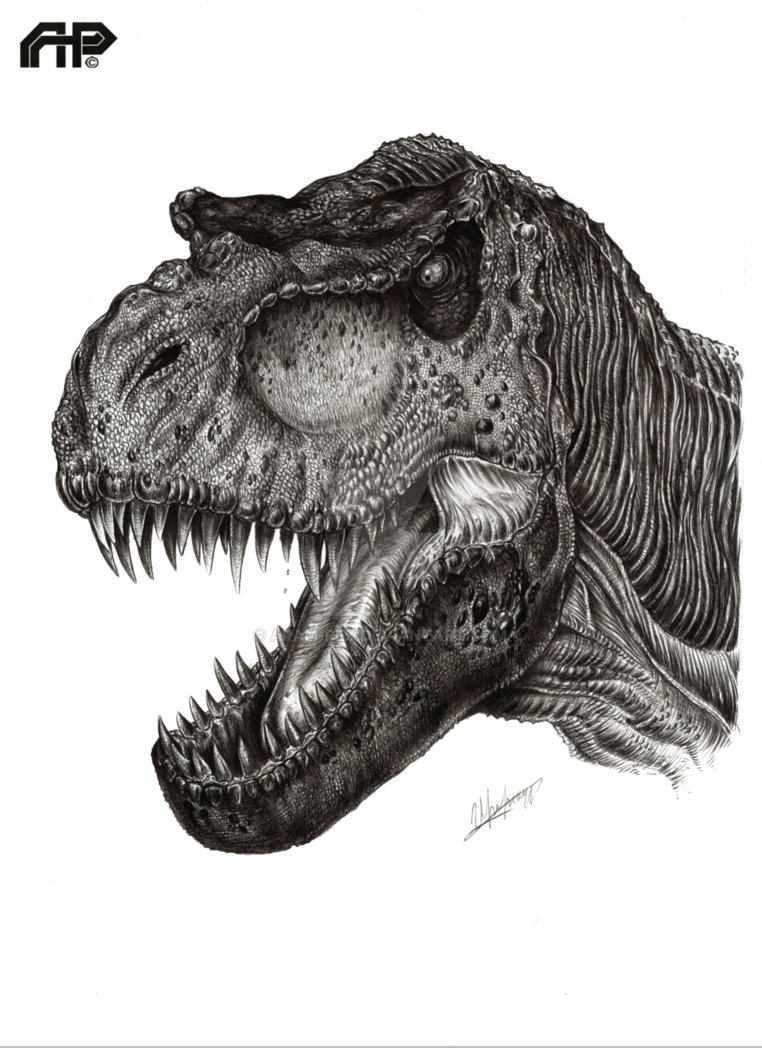 762x1048 Ultimate Bull Tyrannosaurus Rex By Aram Rex - T Rex Head Sketch