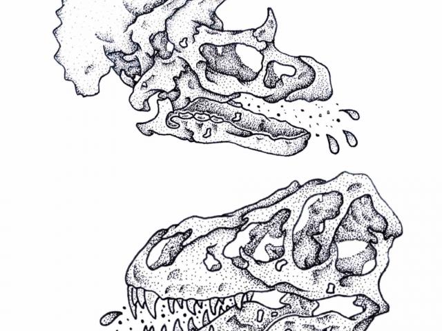 640x480 Drawn Head T Rex 17 - T Rex Head Sketch