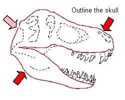 250x200 Draw T. Rex - T Rex Skeleton Sketch