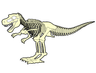 326x250 How To Draw Dinosaur Cartoons - T Rex Skeleton Sketch