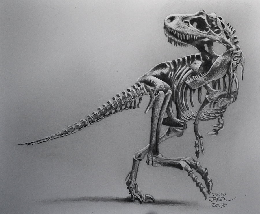 T Rex Skeleton Sketch at Explore collection of T