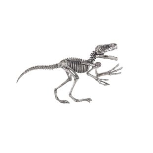 310x310 T Rex Skeleton Wayfair - T Rex Skeleton Sketch
