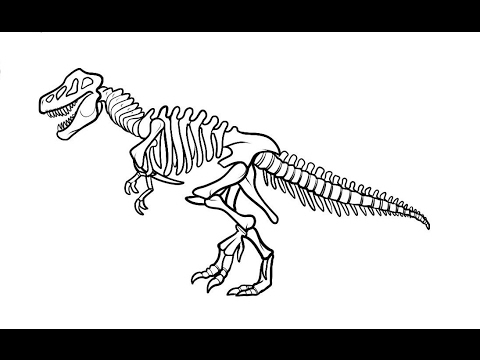 480x360 How To Draw Dinosaur T Rex Skeleton Step By Step - T Rex Skeleton Sketch