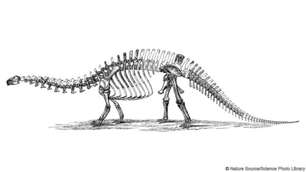 624x351 Bbc - T Rex Skeleton Sketch