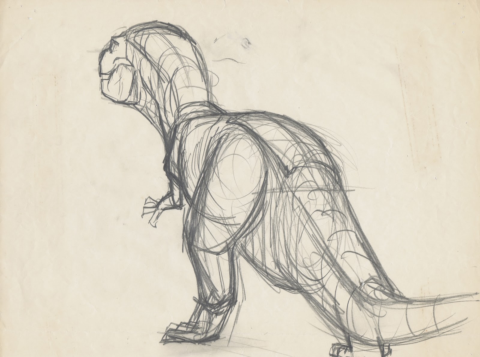 1600x1190 Image - T Rex Sketch