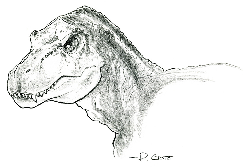 1025x708 Ray Goto - T Rex Sketch