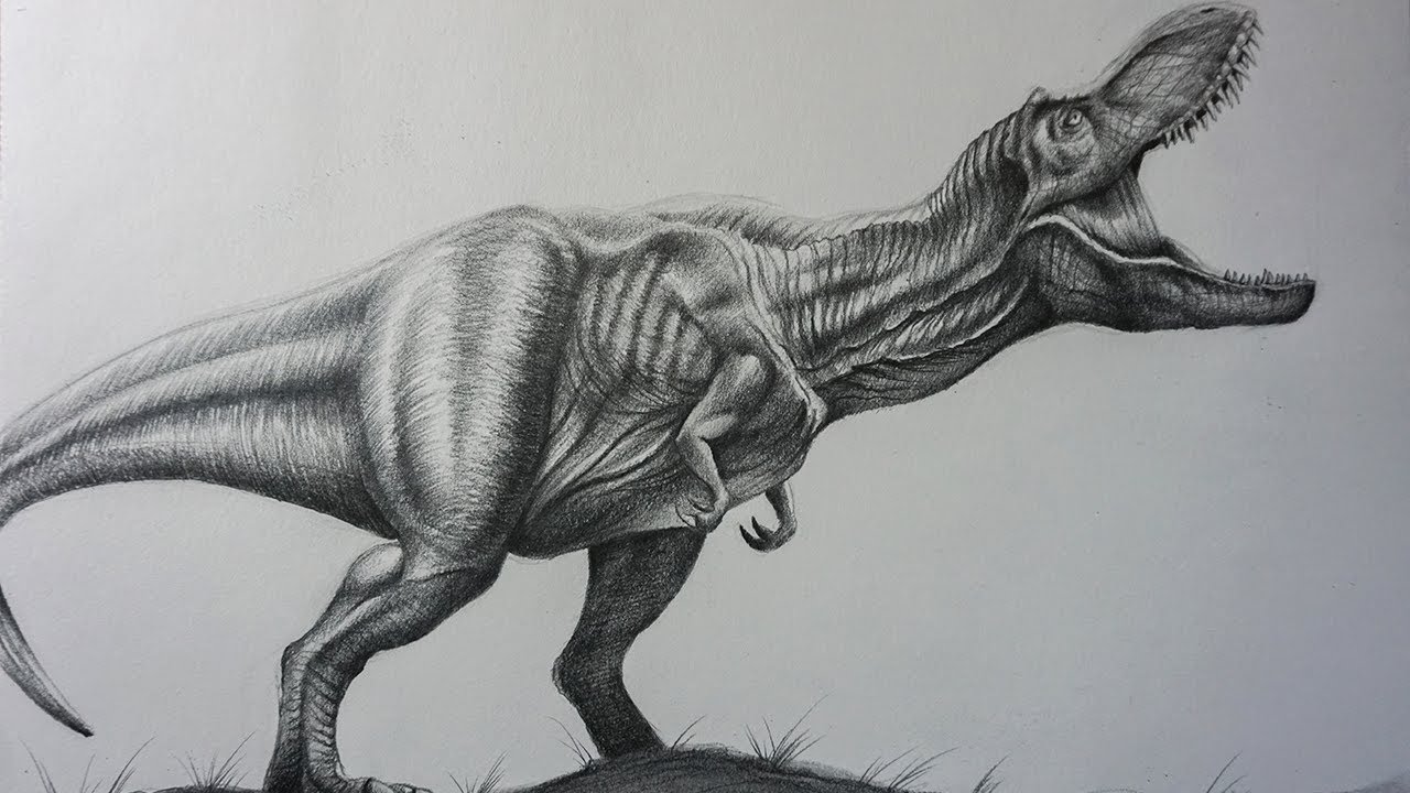 1280x720 Drawing T Rex With Pencil Jurassic World 2 Fanart - T Rex Sketch