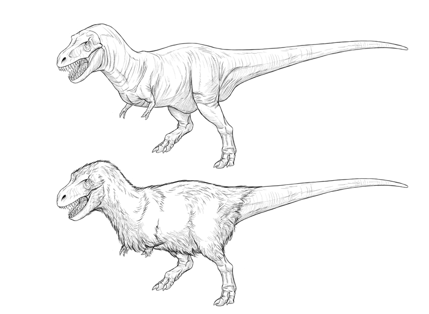 850x622 How To Draw A T Rex Dinosaur - T Sketch