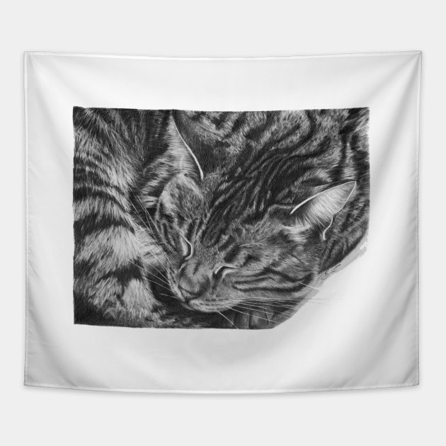 630x630 Tabby Cat - Tabby Cat Sketch