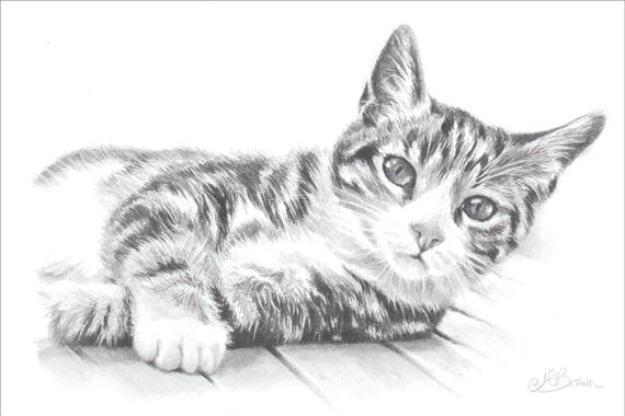 570x380 Tabby Cat Cat Art Print Pencil Drawing Of A Cat. Gift For Etsy - Tabby Cat Sketch