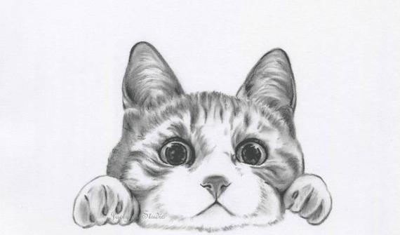 570x335 Charcoal Kitty Cat Drawing Original Cat Sketch Charcoal Etsy - Tabby Cat Sketch