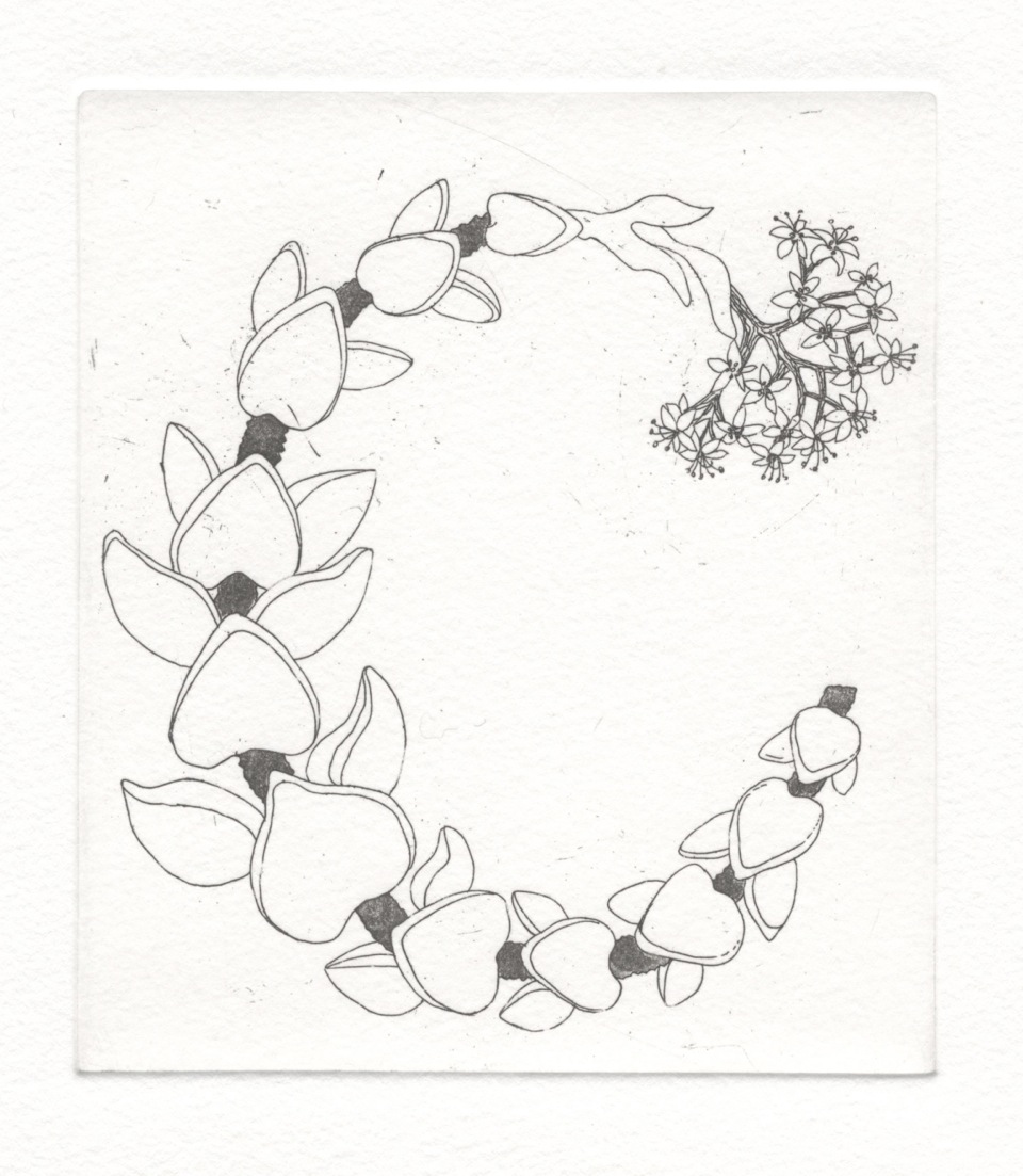 960x1103 The Table Mountain Fund C 2 - Table Mountain Sketch