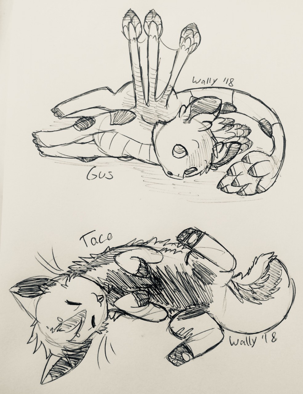 984x1280 Gus And Taco Sketch By Holydevil - Taco Sketch