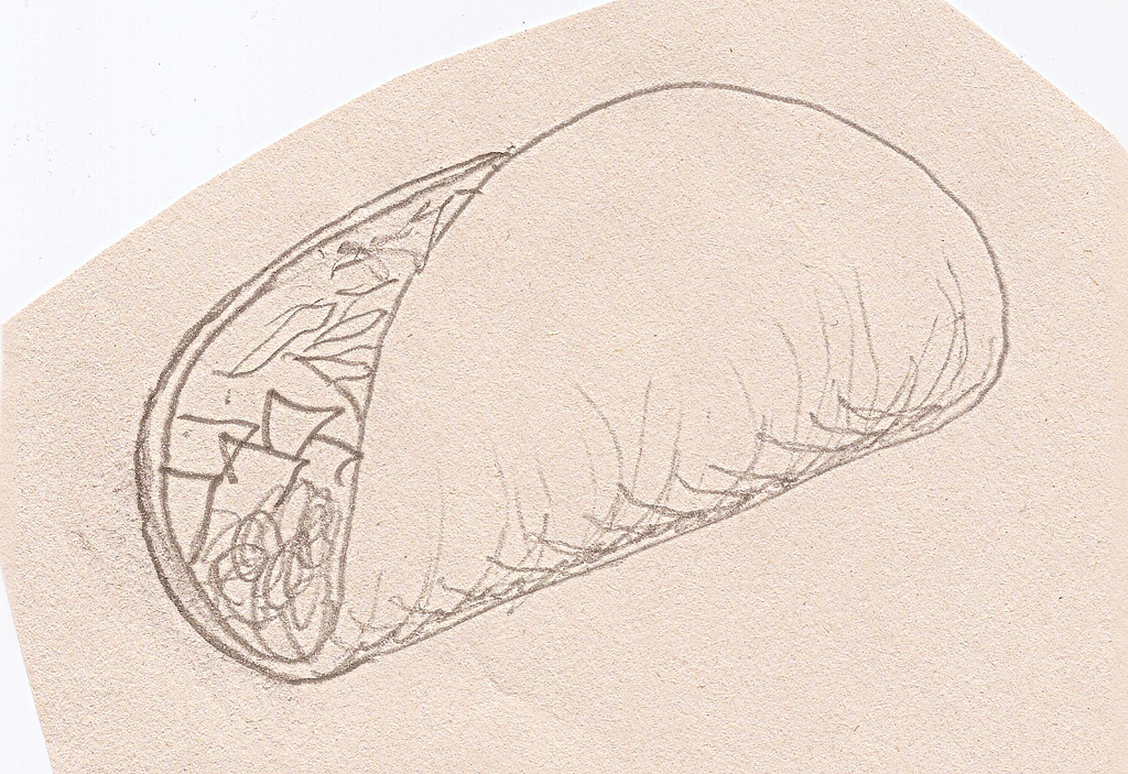 1024x703 Taco Sketch Scott Mioduszewski - Taco Sketch