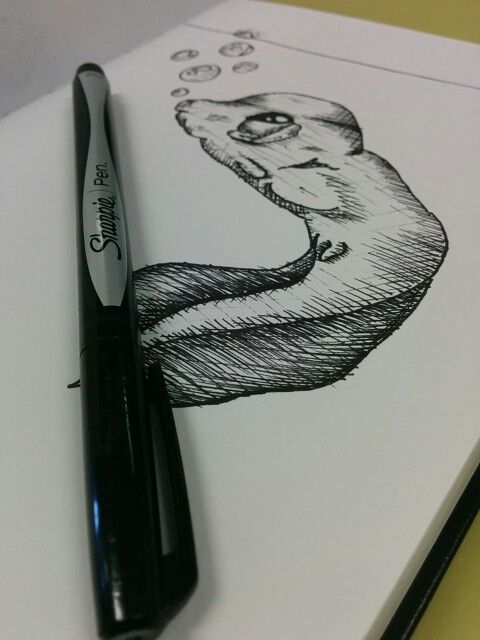 480x640 Tadpole Sketch Nicky Sabulis Graphic Design - Tadpole Sketch