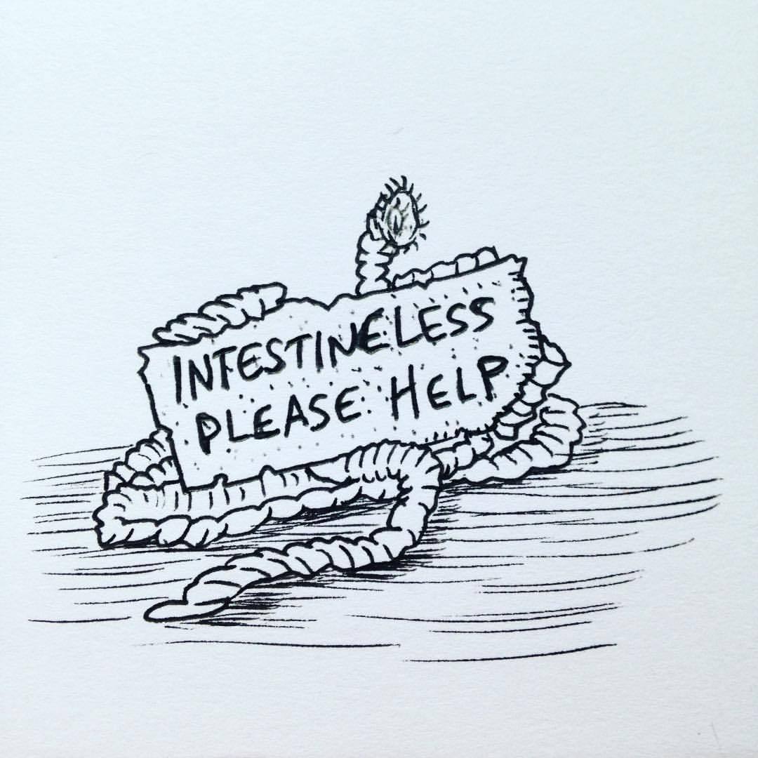 1080x1080 Underdone Comics Would Somebody Like Like To Share Some Space In - Tapeworm Sketch