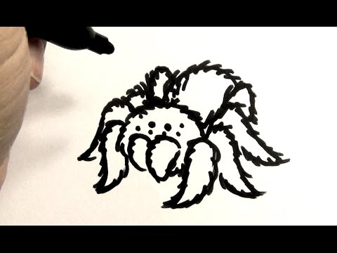 480x360 How To Draw A Tarantula - Tarantula Sketch