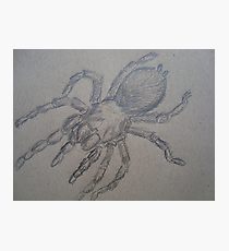 210x230 Tarantula Drawing Wall Art Redbubble - Tarantula Sketch