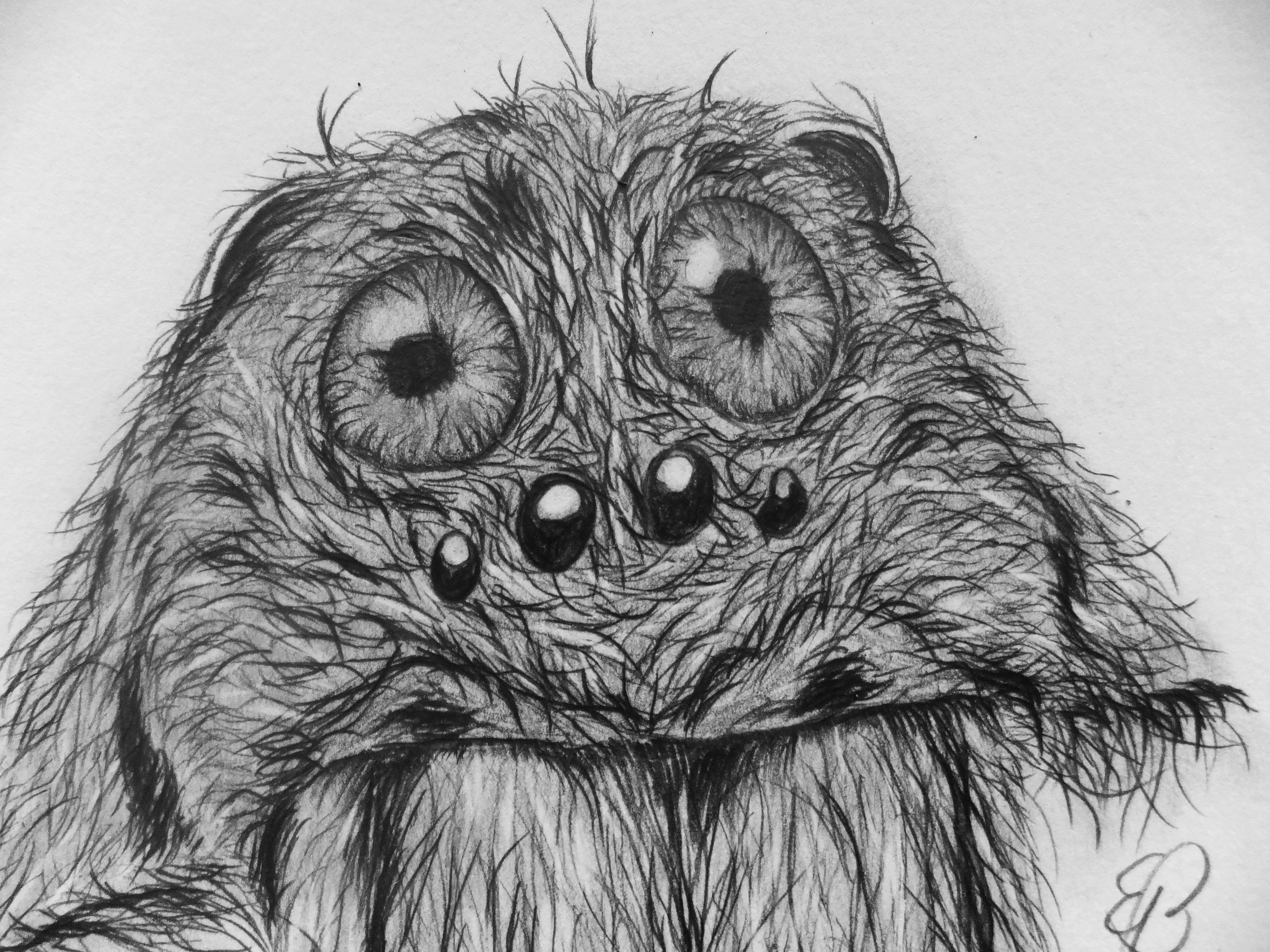 4608x3456 Tarantula Face Close Up Human Eyes By Edgarsart Steemit - Tarantula Sketch