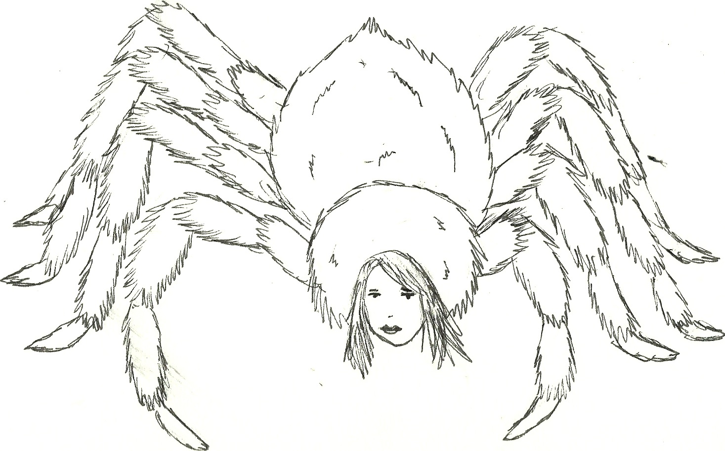1467x914 Tarantula Sketch Sharynsbook - Tarantula Sketch