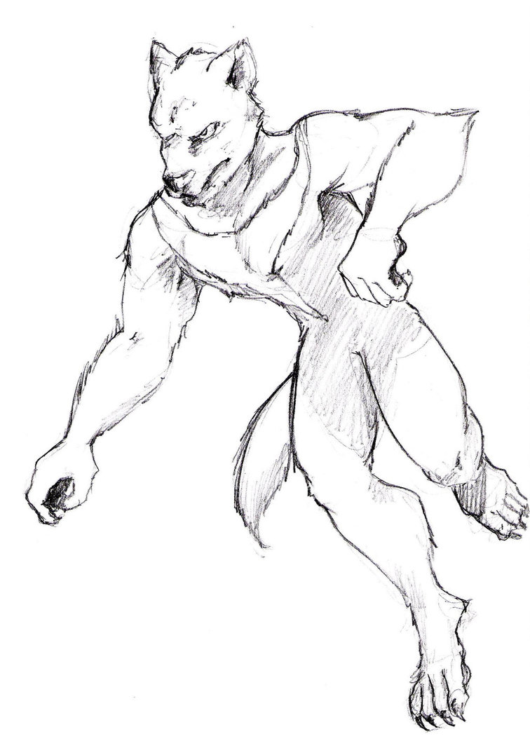 756x1057 Tasmanian Devil Sketch By Jim Cacciabando Jr - Tasmanian Devil Sketch