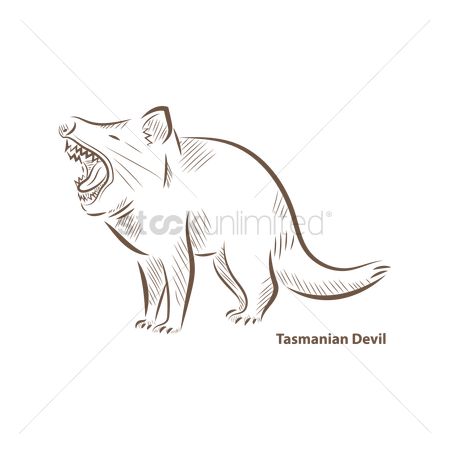 450x450 Free Tasmania Devil Stock Vectors Stockunlimited - Tasmanian Devil Sketch
