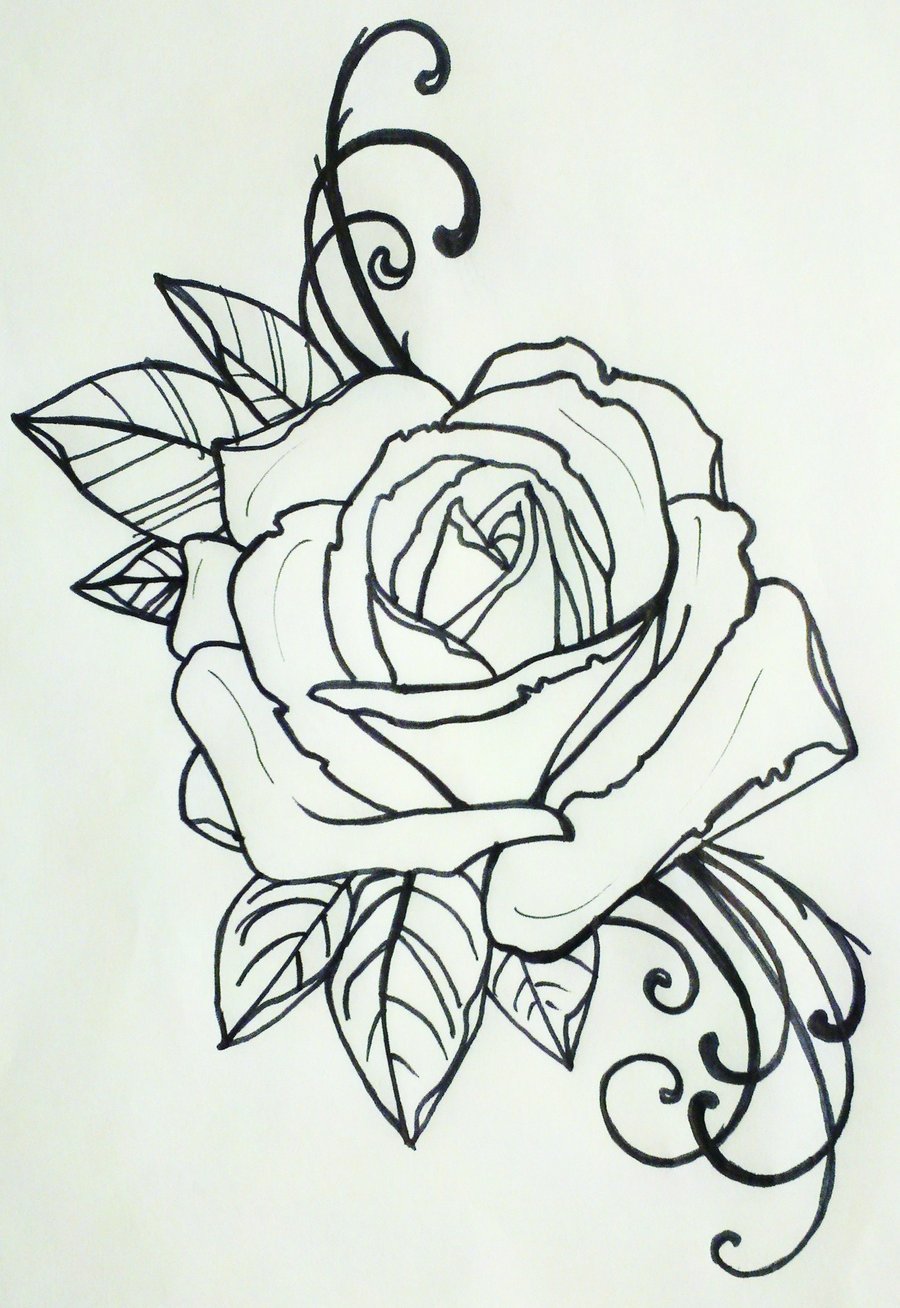900x1308 Tattoo Flowers Sketch - Tattoo Flower Sketch