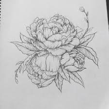225x225 Drawn Flower Sketch Peony Tattoos Pictures - Tattoo Flower Sketch