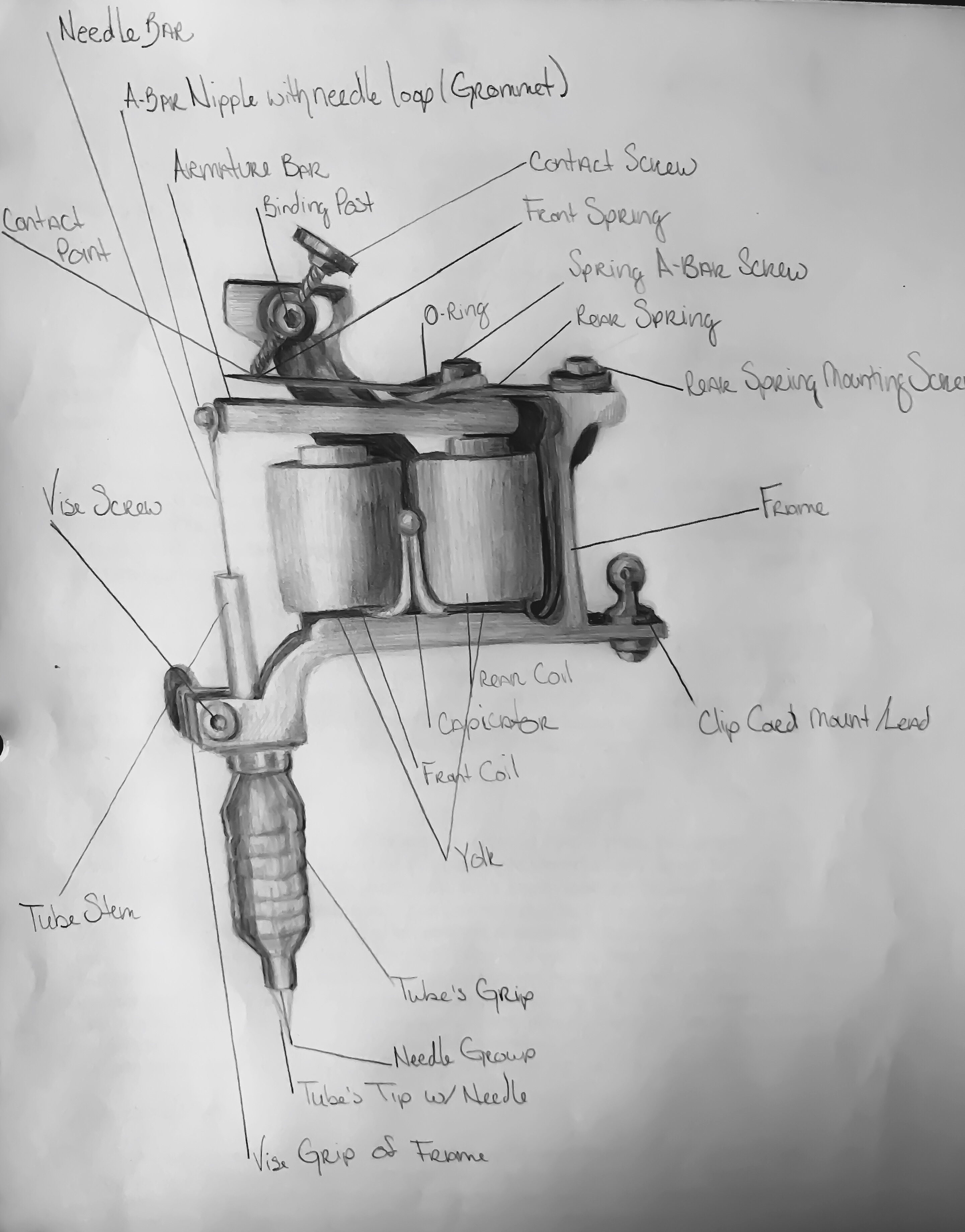 2883x3680 Tattoo Machine The Evolved Doorbell Speakeasy Tattoo Los - Tattoo Gun Sketch